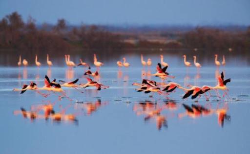 Bed and Breakfast Le Flamant Rose Salin-de-Giraud Exteriér fotografie
