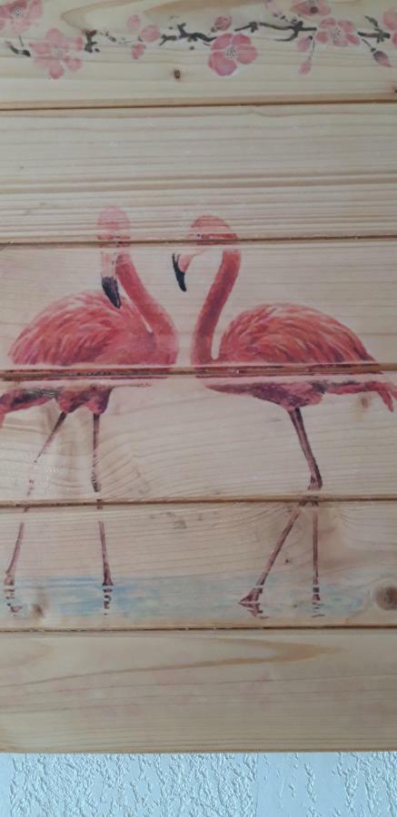 Bed and Breakfast Le Flamant Rose Salin-de-Giraud Exteriér fotografie